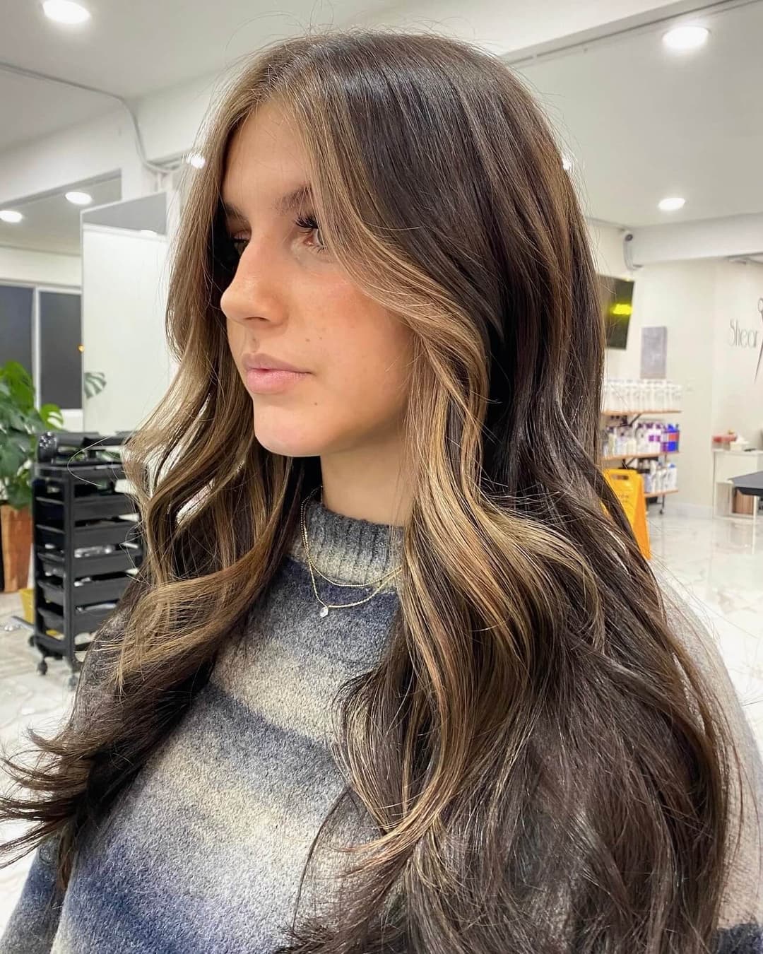 Face framing Highlights image.